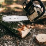 richtige Baumschnitt